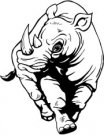 image rhino-02-jpg