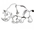 image rhino-08-jpg