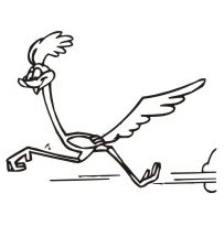 image roadrunner-05-jpg