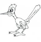 image roadrunner-02-jpg