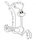 image roadrunner-07-jpg