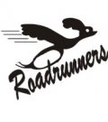 image roadrunner-08-jpg