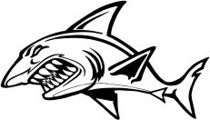 image shark-04-jpg