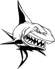 image shark-05-jpg