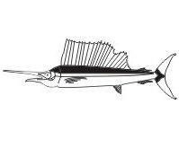 image swordfish-04-jpg