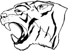 image tiger-07-jpg