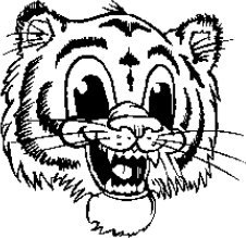 image tiger-12-jpg