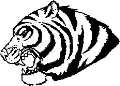 image tiger-14-jpg