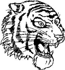 image tiger-15-jpg