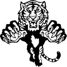 image tiger-18-jpg