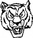 image tiger-02-jpg