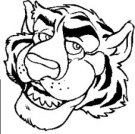 Tigers