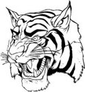 image tiger-06-jpg