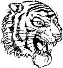 image tiger-15-jpg