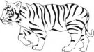 image tiger-19-jpg