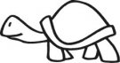 image turtle-02-jpg