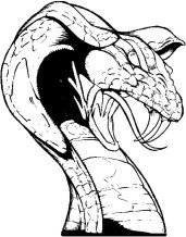 image snake-04-jpg