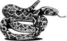 image snake-01-jpg