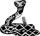 image snake-02-jpg