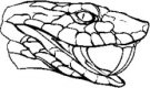Vipers