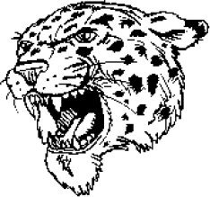 image leopard-04-jpg