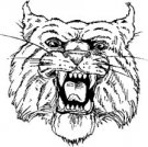 image wildcat-01-jpg