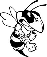 image yellowjacket-01-jpg