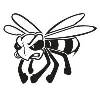 image yellowjacket-05-jpg