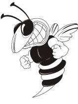 image yellowjacket-08-jpg