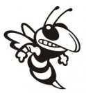 image yellowjacket-04-jpg