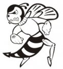 image yellowjacket-07-jpg